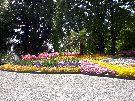 Blumenarrangement in Konstanz