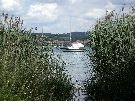 Blick auf den Bodensee von der Insel Reichenau